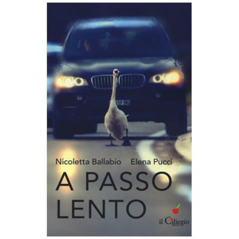 Nicoletta Ballabio - A passo lento. Pensieri, idee, proposte per educare alla lentezza nel tempo della velocità - Foto 1