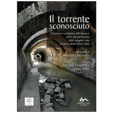 Anna Brini - Il torrente sconosciuto. Il percorso completo dell'Aposa e delle sue pertinenze dalle sorgenti sino al ventre della città e oltre - Foto 2
