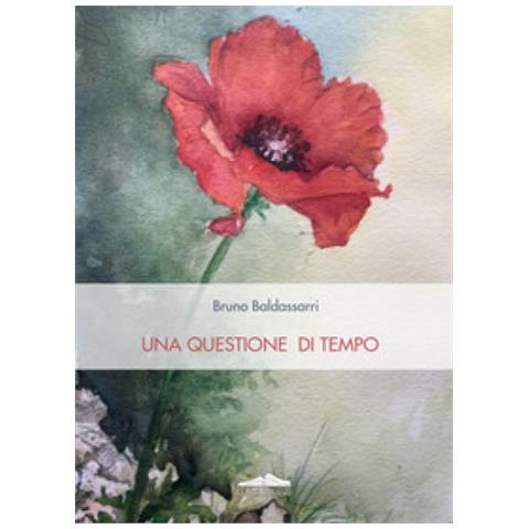 Bruno Baldassarri - Una Questione Di Tempo - Foto 1