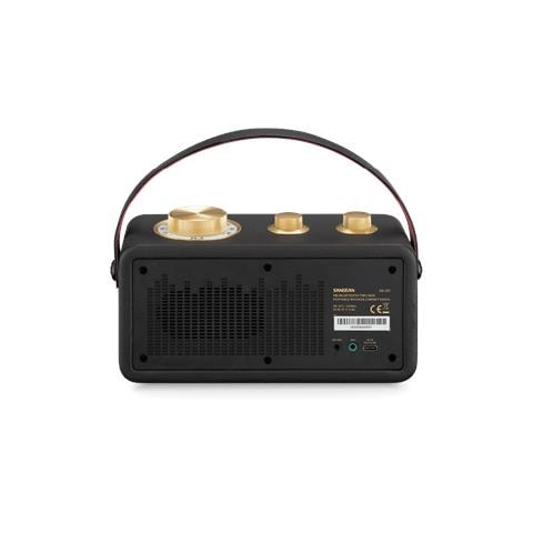 RA-101 Portatile Analogico Nero, Oro - Foto 2