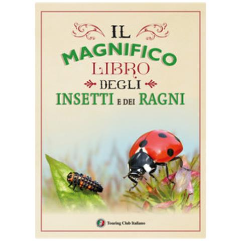 Il Magnifico Libro Degli Insetti E Dei Ragni. Ediz. A Colori - Foto 2
