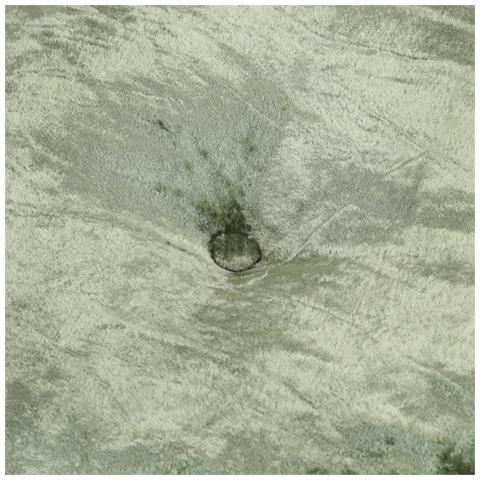 Pouf Rotondo in Velluto 40x20 cm Verde - Foto 2