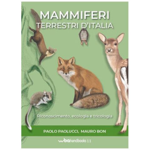 Mammiferi Terrestri D'italia - Foto 1