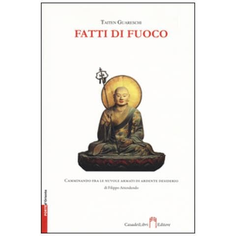 Fausto Taiten Guareschi - Fatti di fuoco - Foto 2