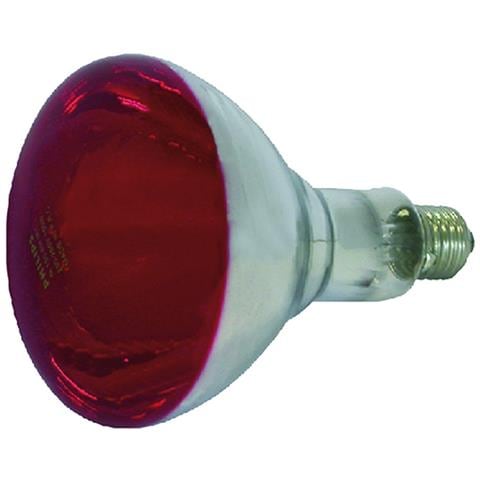 22244 Lampada A Infrarossi, 150w - Foto 3
