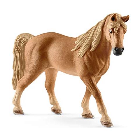 Tennessee Walking Horse Mare - Foto 2