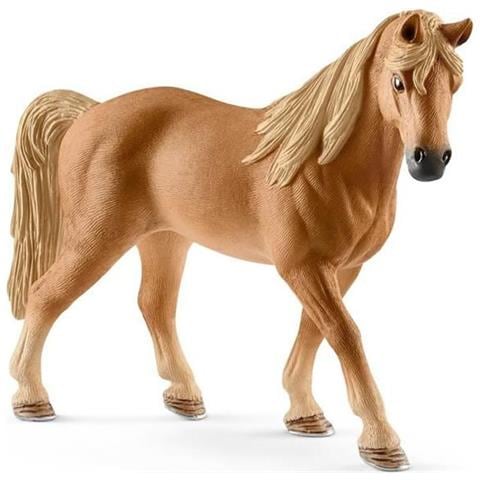 Tennessee Walking Horse Mare - Foto 1