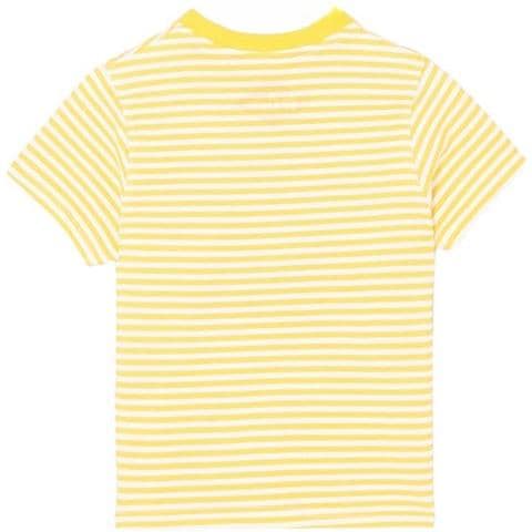 T-shirt glc0108 tmc jaune-10a Ragazzo - Foto 2