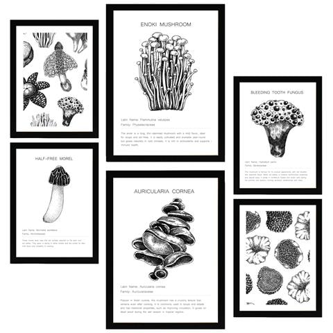 Set Di 6 Stampe Composizione Di Pittura Decorativa Di Funghi E Omini In Bianco E Nero Incorniciati Con Illustrazioni A3 & A4 Cornice Nera - Foto 1