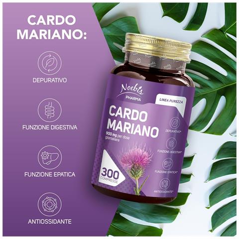 Cardo Mariano 300 Compresse - Estratto Secco Titolato al 2% in Silimarina (confezione doppia) - Foto 5