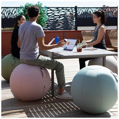 Swiss Ball Cachi - Foto 4