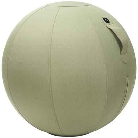 Swiss Ball Cachi - Foto 1