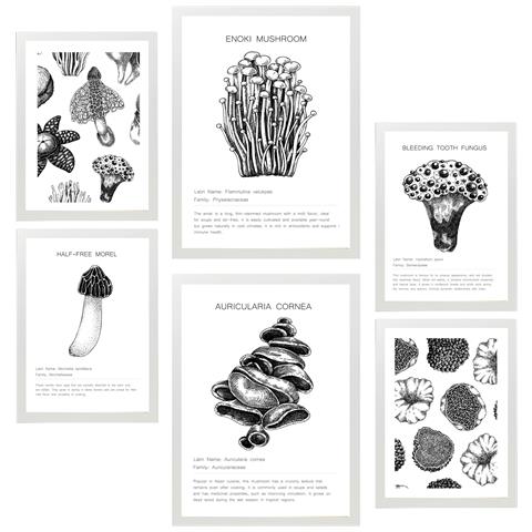 Set Di 6 Stampe Composizione Di Pittura Decorativa Di Funghi E Omini In Bianco E Nero Incorniciati Con Illustrazioni A3 & A4 Cornice Bianca - Foto 1