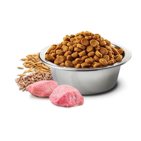 N&D Ancestral Grain Canine 15 kg Adulto Pollo - Foto 2