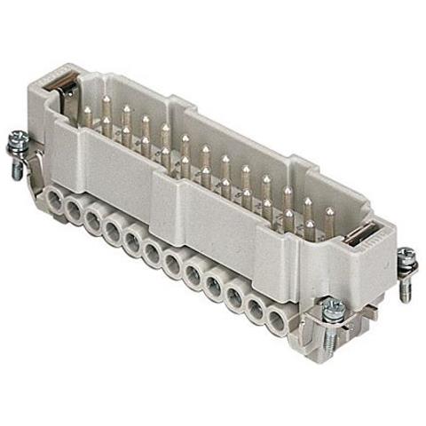 F. spina 16a 24p Teg - Ilme Cnem24t - Foto 1