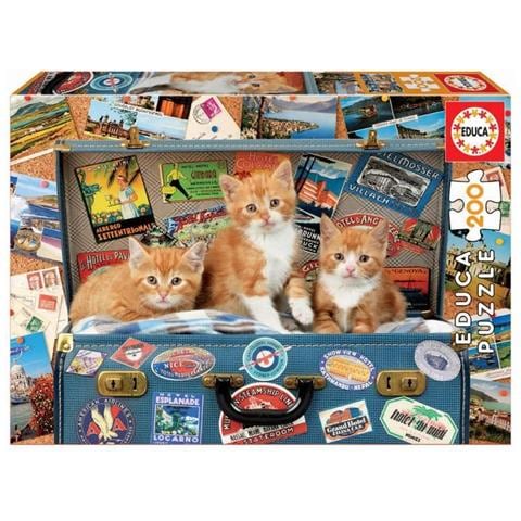 200 Piccoli Gatti Viaggiano - Foto 1