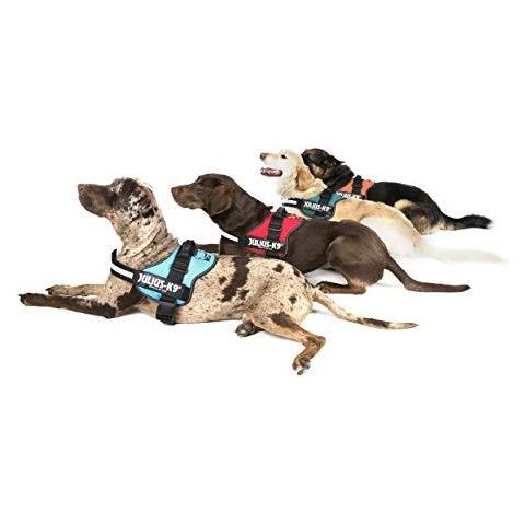 162dpn0 Powerharness Dimensione Mini Rosa Scuro - Foto 2