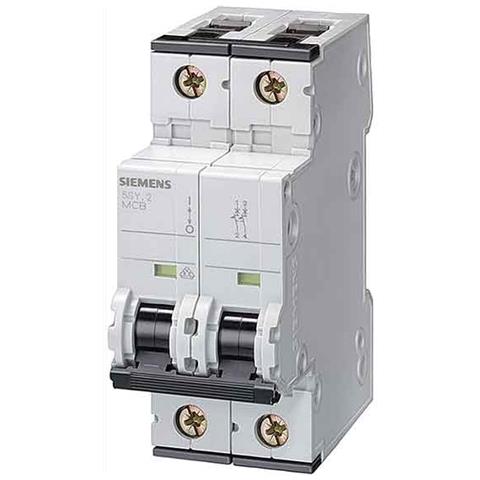 Interruttore Magnetotermico 2p 40a 10ka Tipo C 2 Moduli - Foto 1