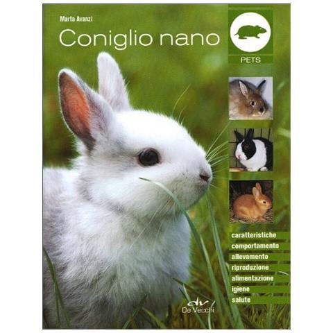 Marta Avanzi - Coniglio Nano - Foto 1