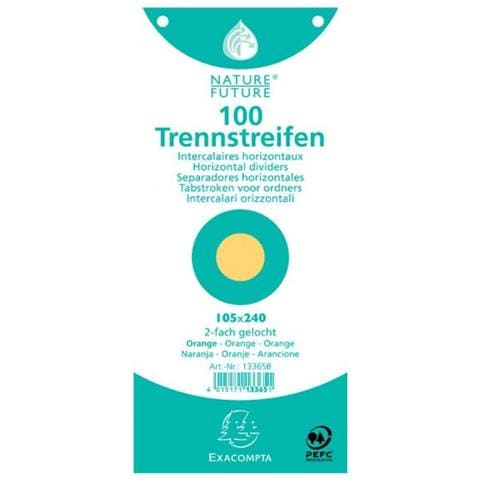 13365B scheda per indice Arancione 100 pz - Foto 1