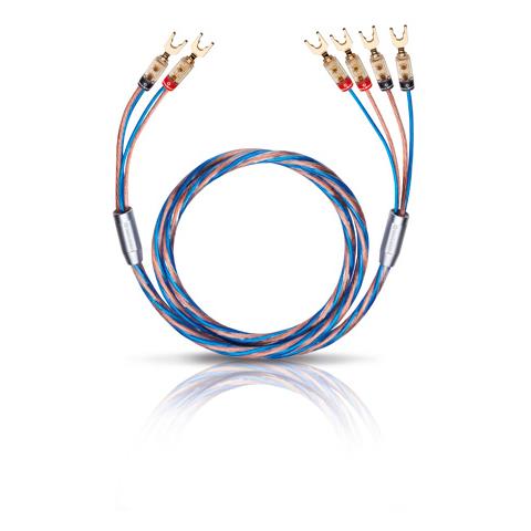 10804, 4m, Maschio / maschio, Oro - Foto 1