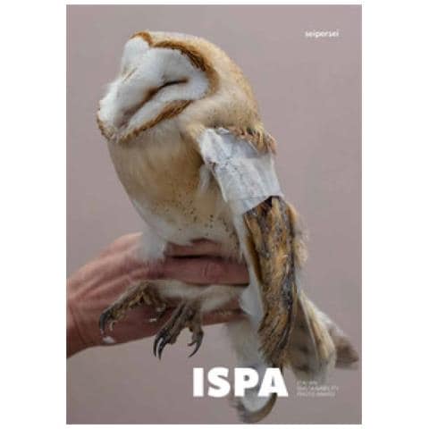 Ispa. Italian Sustainability Photo Award 2020, 2021, 2022 - Foto 1