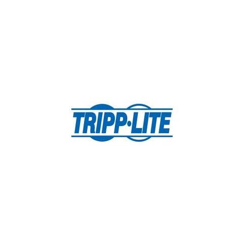 Tripp Lite USB C TO DISPLAYPORT 4K ADAPTER M / M 6FT - Foto 1