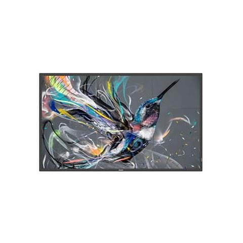 32BDL3510Q / 00 visualizzatore di messaggi Pannello piatto per segnaletica digitale 80 cm (31.5") VA 350 cd /m² Full HD Nero - Foto 1