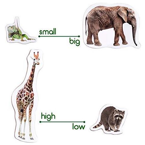 Foto Zoo Magneti Animali Per I Bambini -real Grande Frigorifero Magneti Per Toddlers- Magnetici Giocattoli Educativi Per Bambini Di 3 Anni Magneti Bambino Di Apprendimento Per I Magneti Kid Bambini- Magnetico Insieme Del Bambino Teatro-magnet - Foto 2