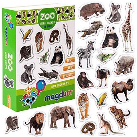 Foto Zoo Magneti Animali Per I Bambini -real Grande Frigorifero Magneti Per Toddlers- Magnetici Giocattoli Educativi Per Bambini Di 3 Anni Magneti Bambino Di Apprendimento Per I Magneti Kid Bambini- Magnetico Insieme Del Bambino Teatro-magnet - Foto 1