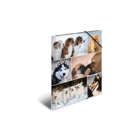 19211 Cartoncino Multicolore cartella - Foto 1