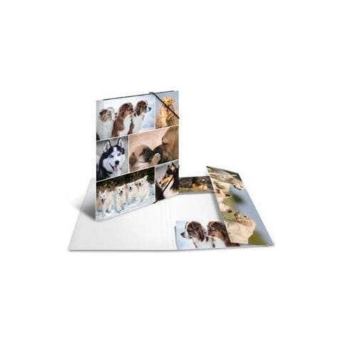 19211 Cartoncino Multicolore cartella - Foto 2