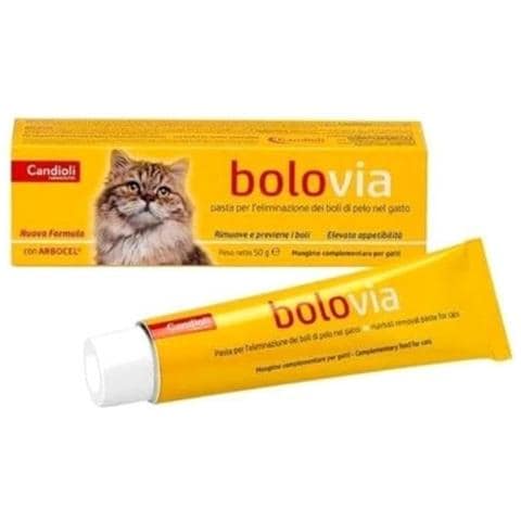 Bolo Via Pasta Gatti 100 g - Foto 1