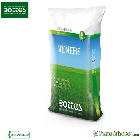 Sementi Venere - 5 Kg - Foto 4