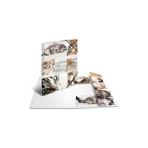 19212 Cartoncino Multicolore cartella - Foto 2