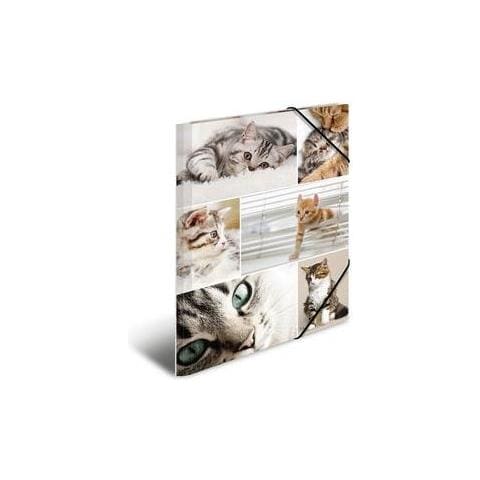 19212 Cartoncino Multicolore cartella - Foto 1