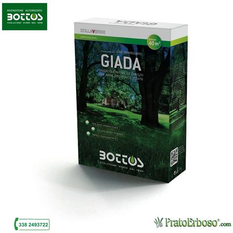 Sementi Giada - 1 Kg - Foto 3