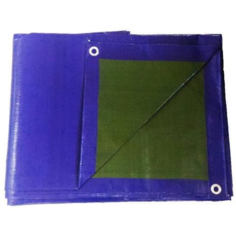 Telo Pe 6 X 8 Blue-verde 200g / m2 Bertoni - Foto 1