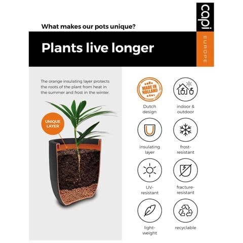 Vaso Elegante Groove 46x58 Cm Nero E Oro - Foto 2