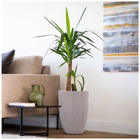 Vaso Elegante Groove 46x58 Cm Avorio - Foto 10