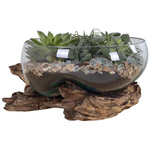 Terrario San Marino In Vetro A Conca Ovale Su Grande Base In Radice Di Teak 26x26xh20 Cm - Foto 1