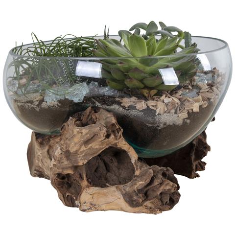 Terrario San Marino In Vetro A Conca Ovale Su Grande Base In Radice Di Teak 26x26xh20 Cm - Foto 2