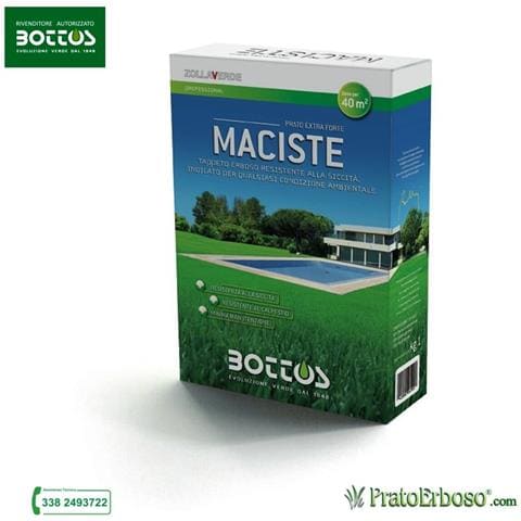 Sementi Maciste - 1 Kg - Foto 6