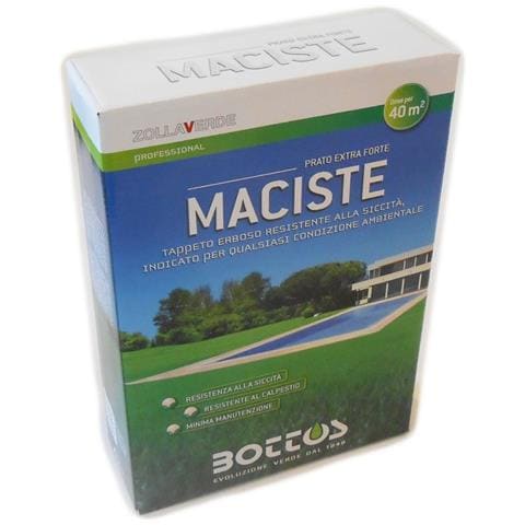 Sementi Maciste - 1 Kg - Foto 2