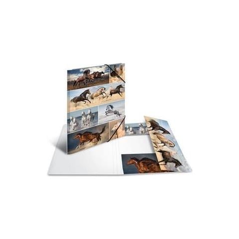 19217 Cartoncino Multicolore cartella - Foto 2