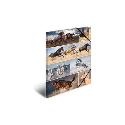 19217 Cartoncino Multicolore cartella - Foto 1