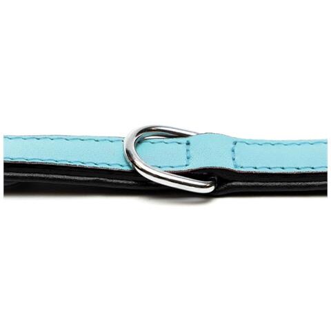 Collare Per Cani Gloria 30 Cm Trapunta Pelle Azzurro - Foto 7