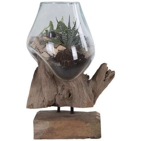 Terrario San Marino In Vetro A Goccia Su Base In Radice Di Teak 18x15xh25 Cm - Foto 1