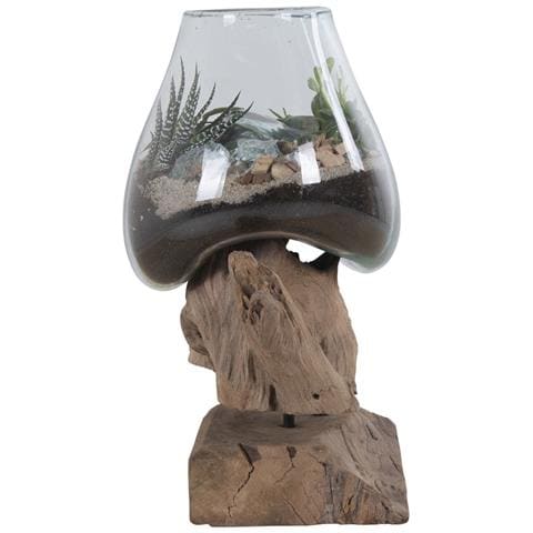 Terrario San Marino In Vetro A Goccia Su Base In Radice Di Teak 18x15xh25 Cm - Foto 2