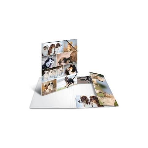 19218 Cartoncino Multicolore cartella - Foto 2